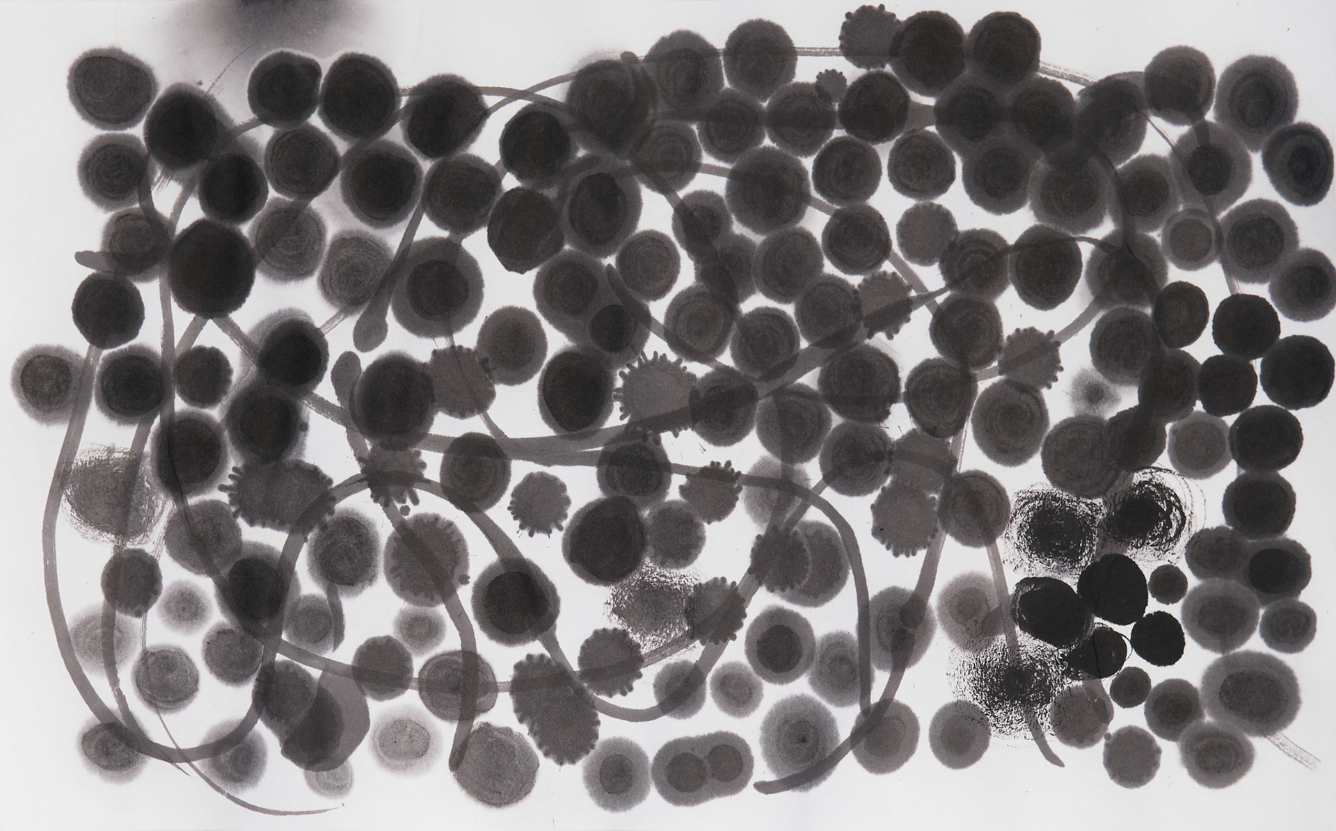 MIND PATH #35   Ink on paper  49 x 31 cm ( 19,2 x 12,2 in.)