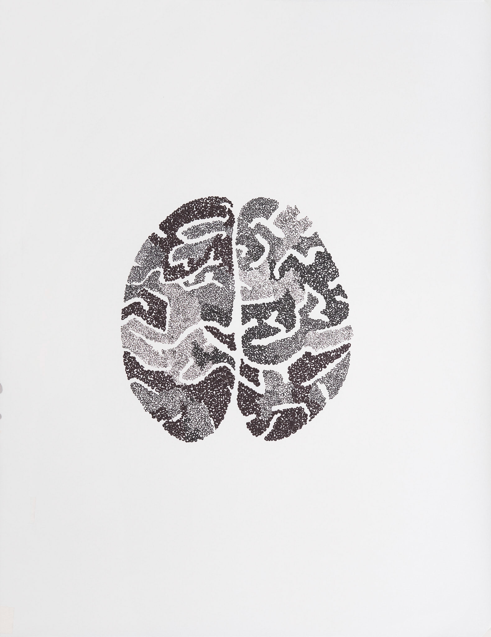 BRAIN #1   Ink on paper  45 x 30 cm ( 17,7 x 11,8 in.)