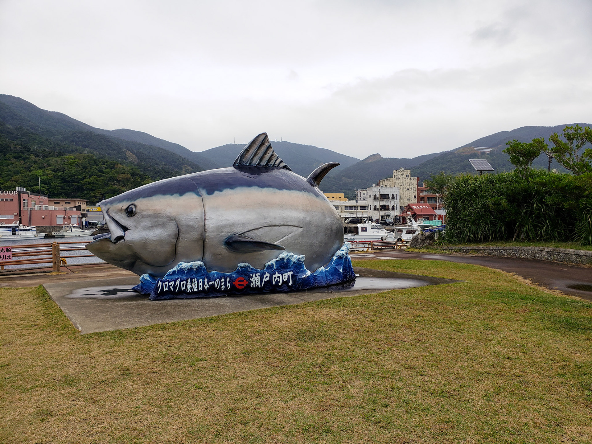 海の駅の公園内