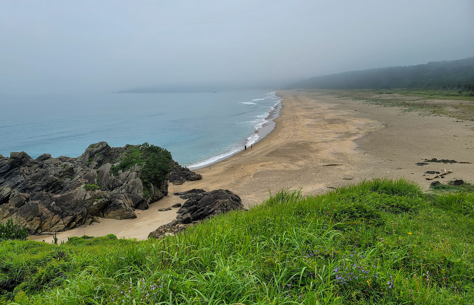 大須賀海岸を望む