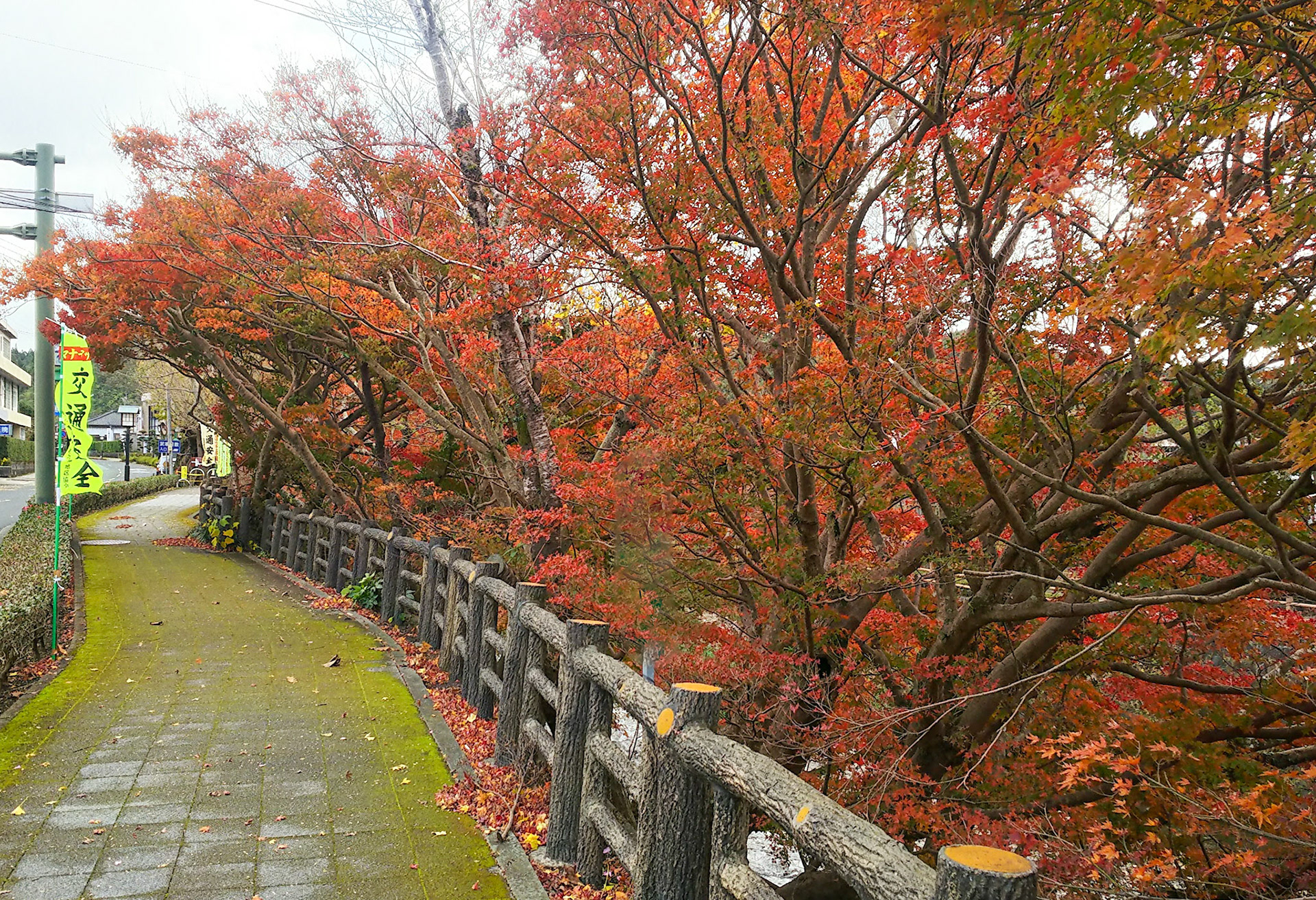 麓川沿いの紅葉