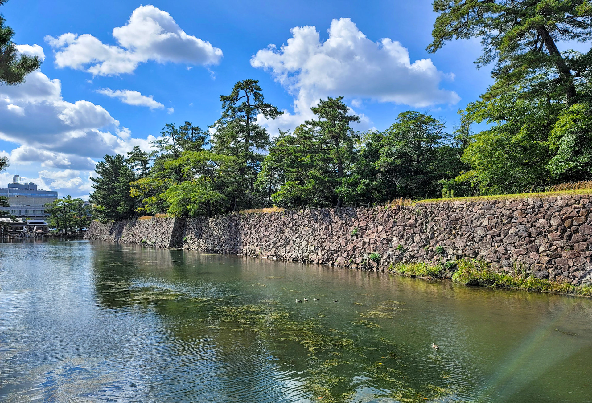 松江城 お濠