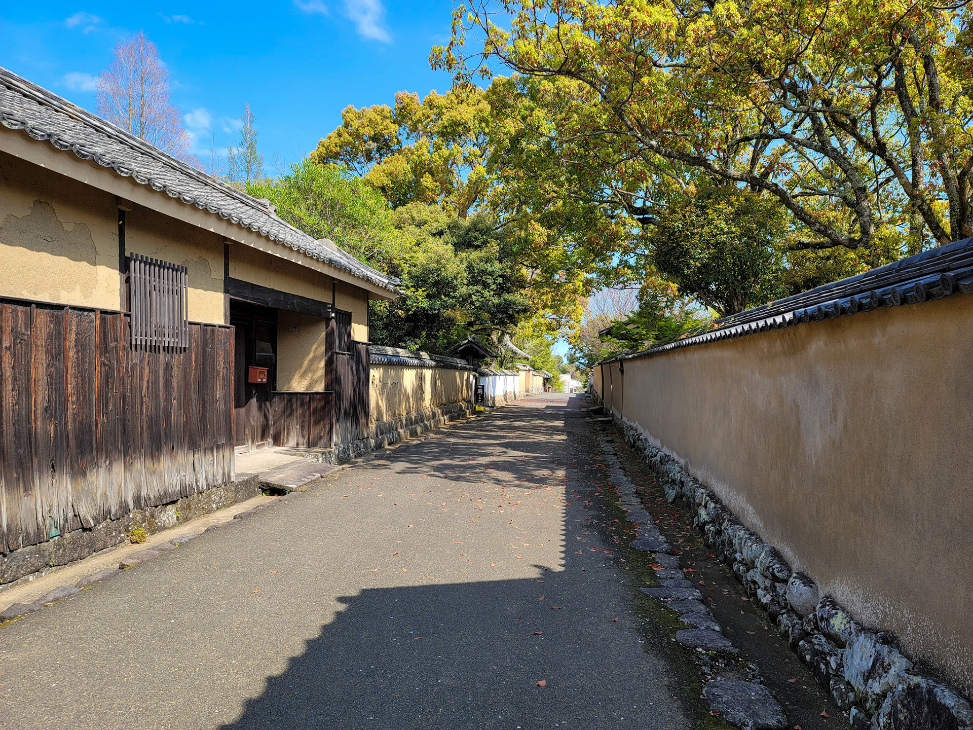 杵築小学校近くの市内