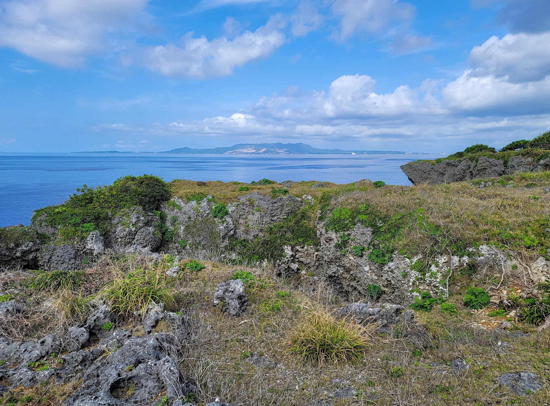 本部半島を望む