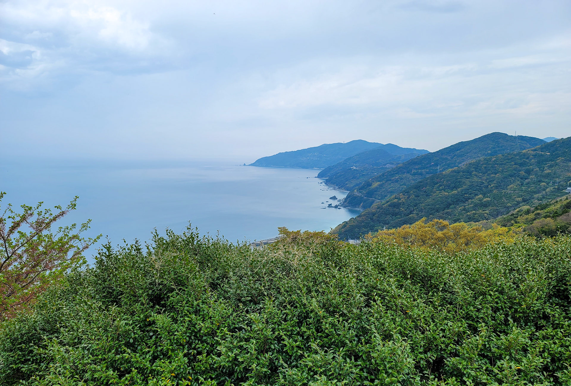 佐多岬を望む