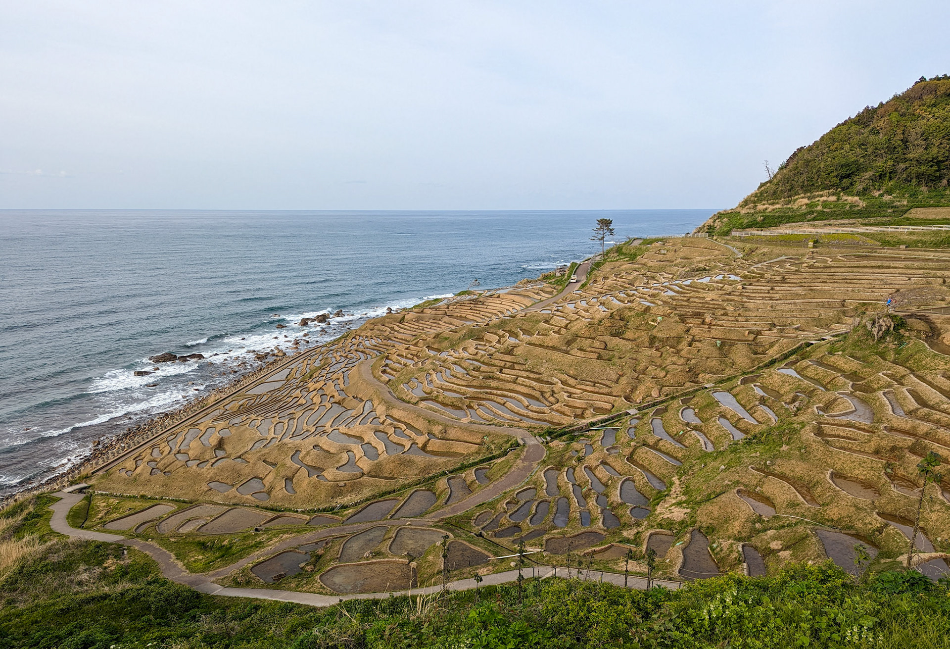 白米千枚田(しろよね せんまいだ)