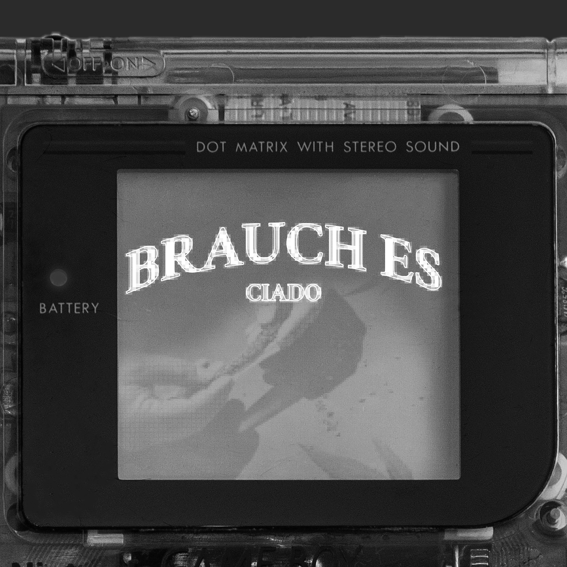 2022 | CIADO - BRAUCH ES