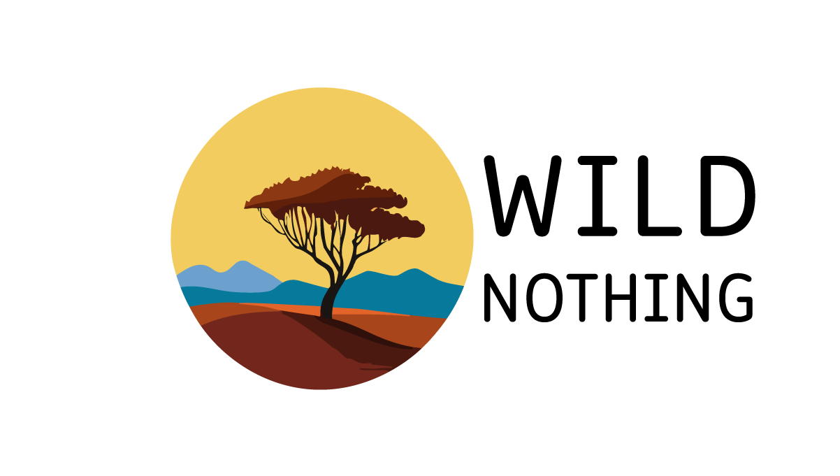 Wild nothing