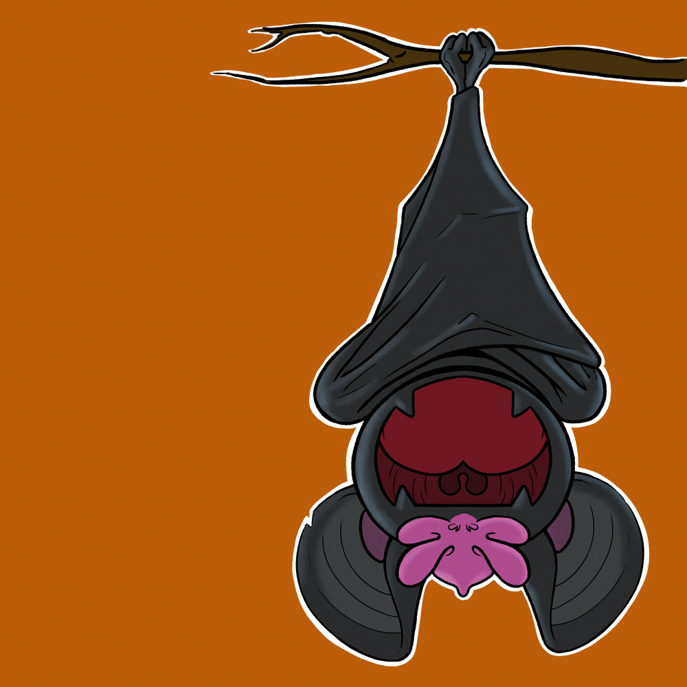 Happy Bat - Halloween 2021