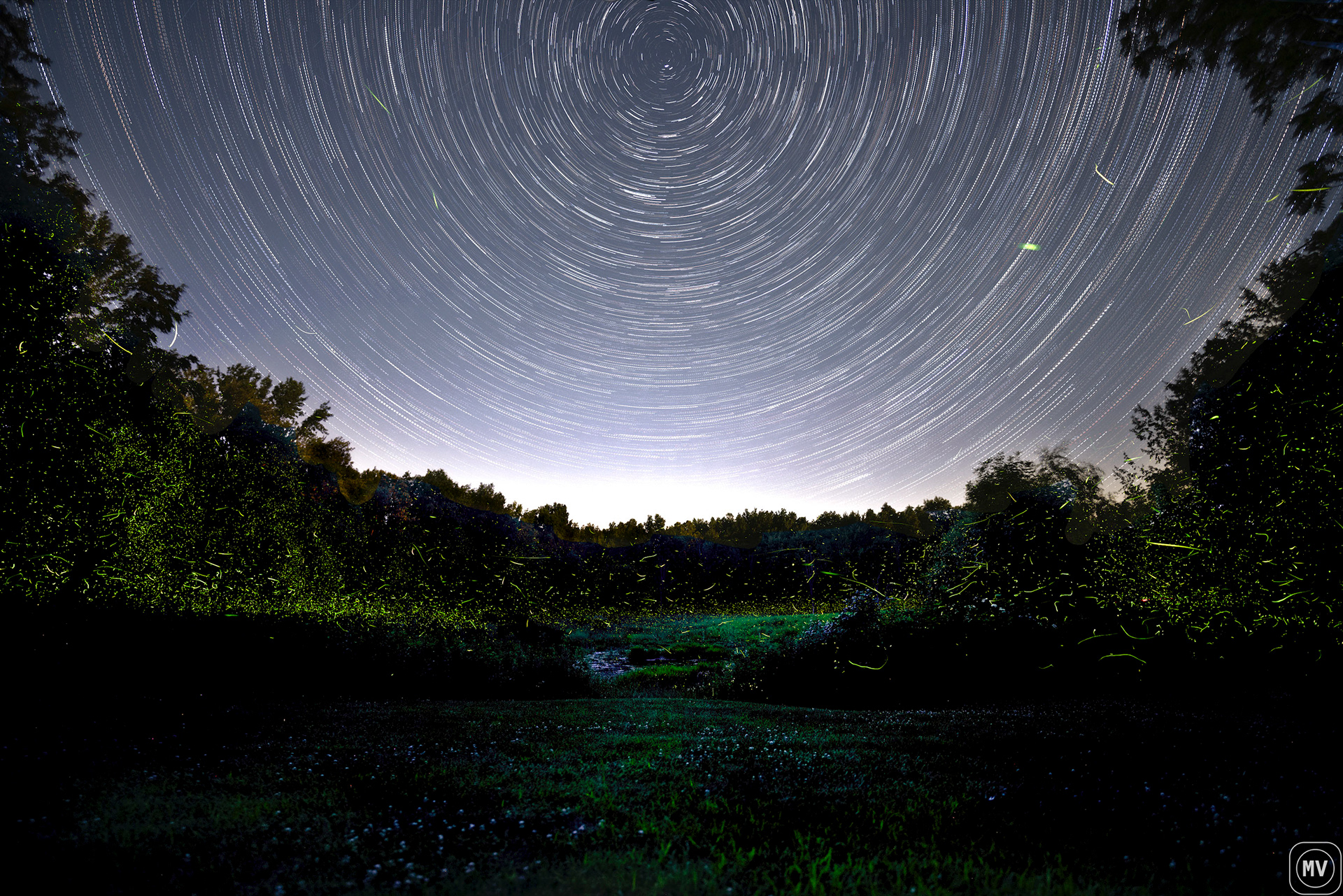Star Trails with Fireflies