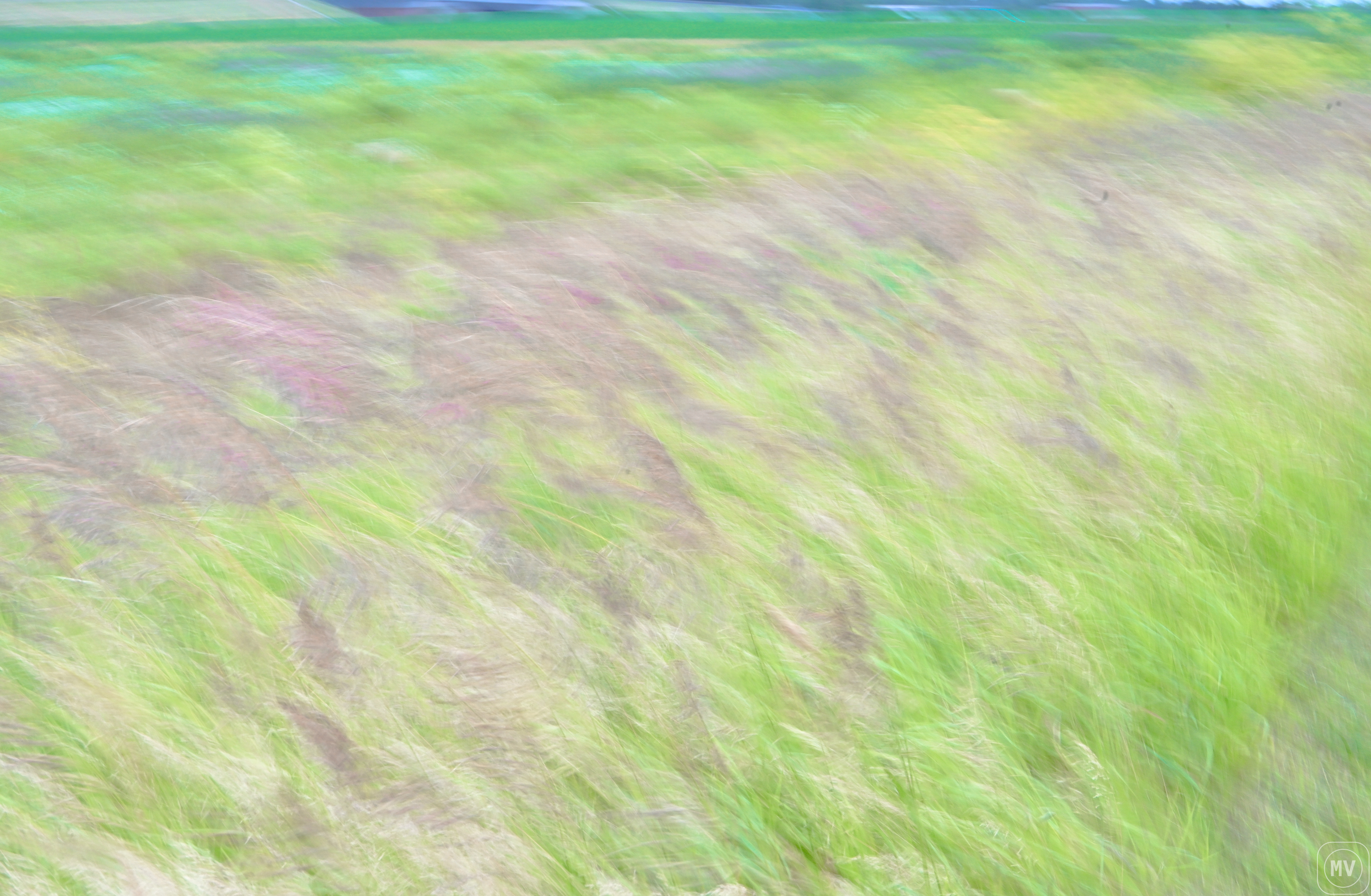 Grass ICM