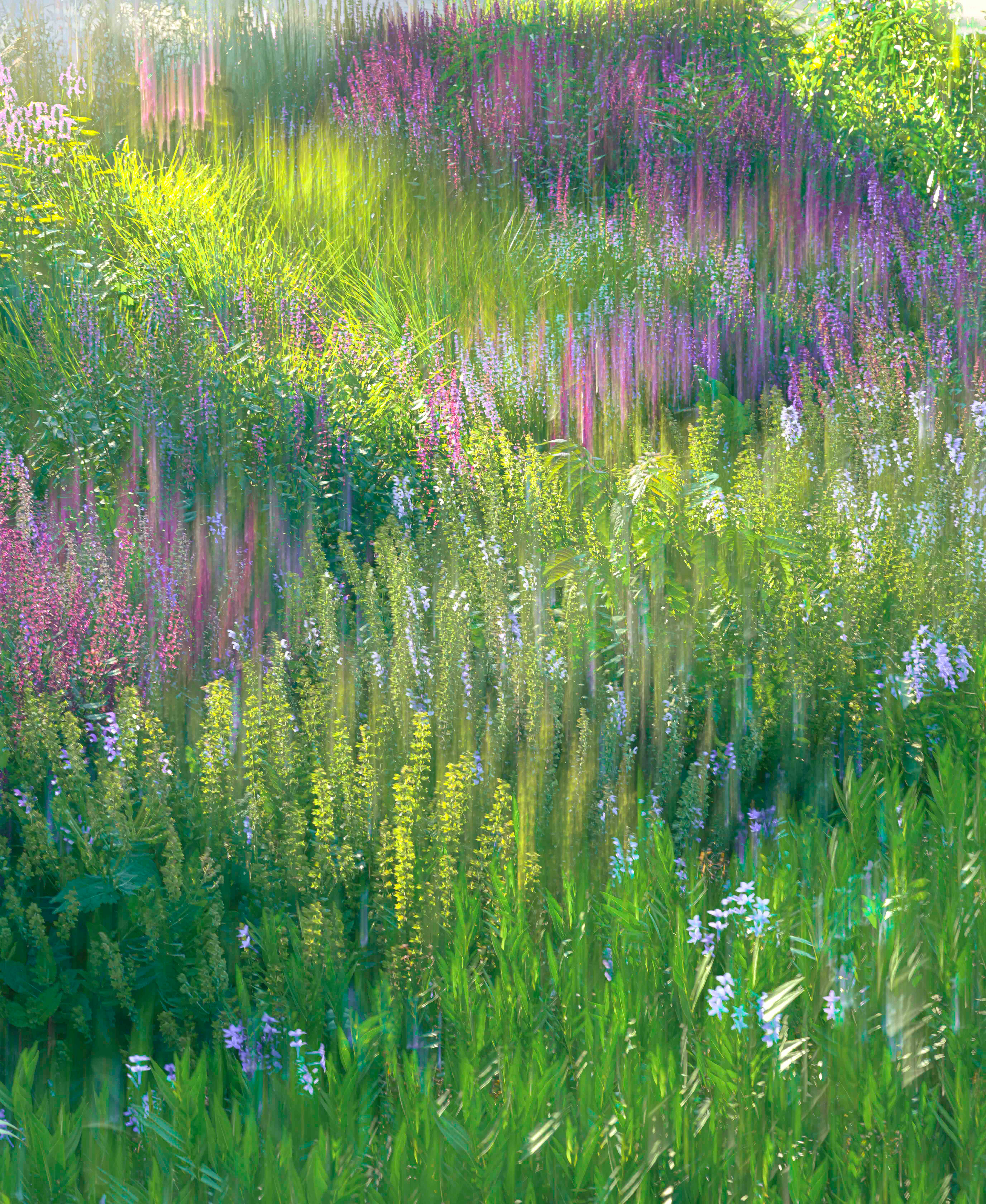 Spring Flowers