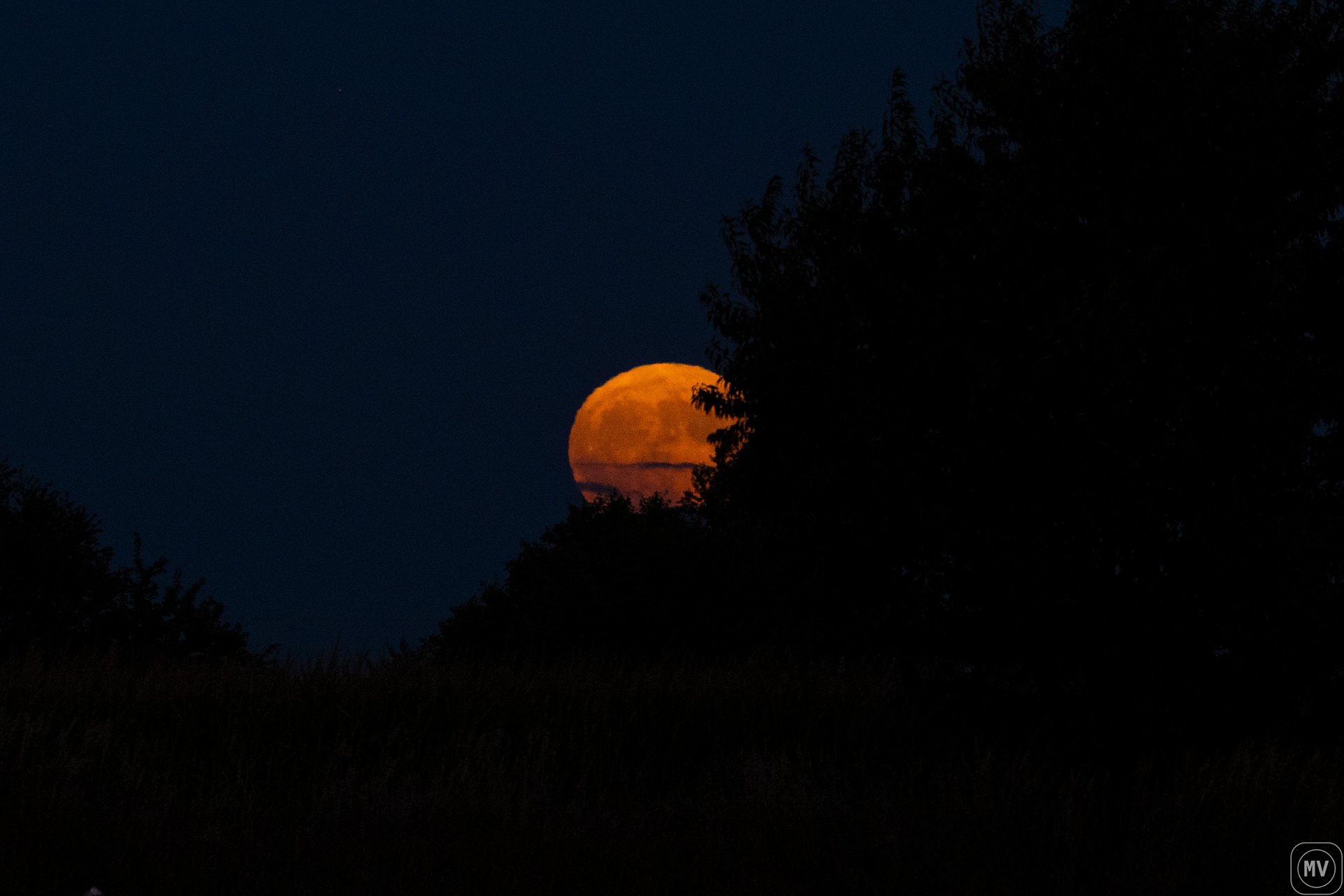 Harvest Moon