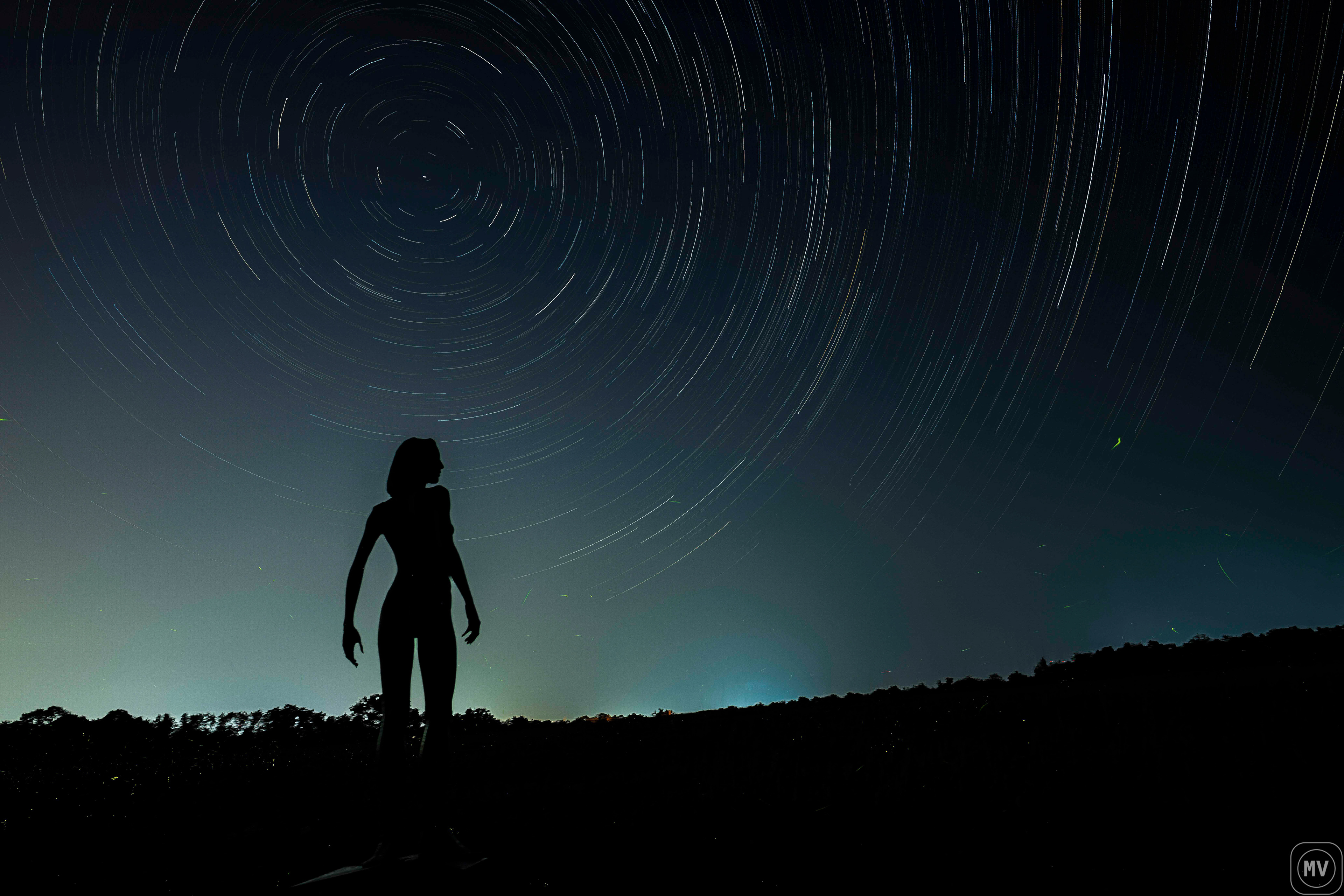 Lady With the Stars