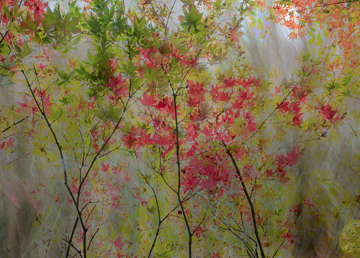 1839 People's Vote Award Winner 2024 (Abstract)