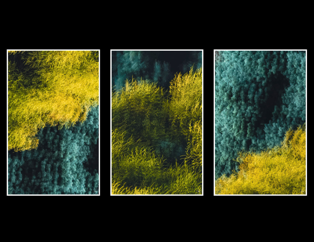 Exhibited at Urbana Free Library - CU BIPOC Artist Collective