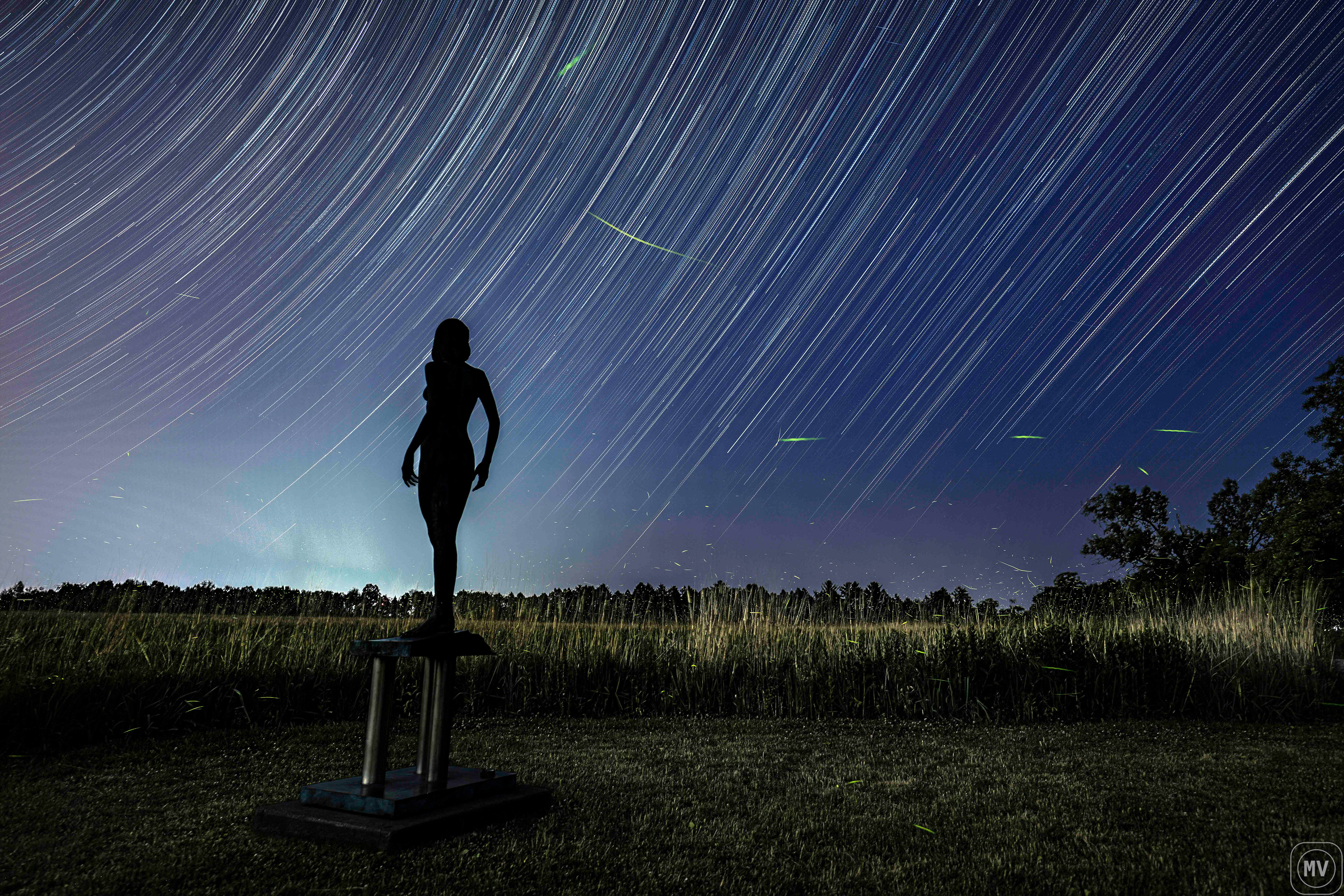 Lady With the Stars and Fireflies