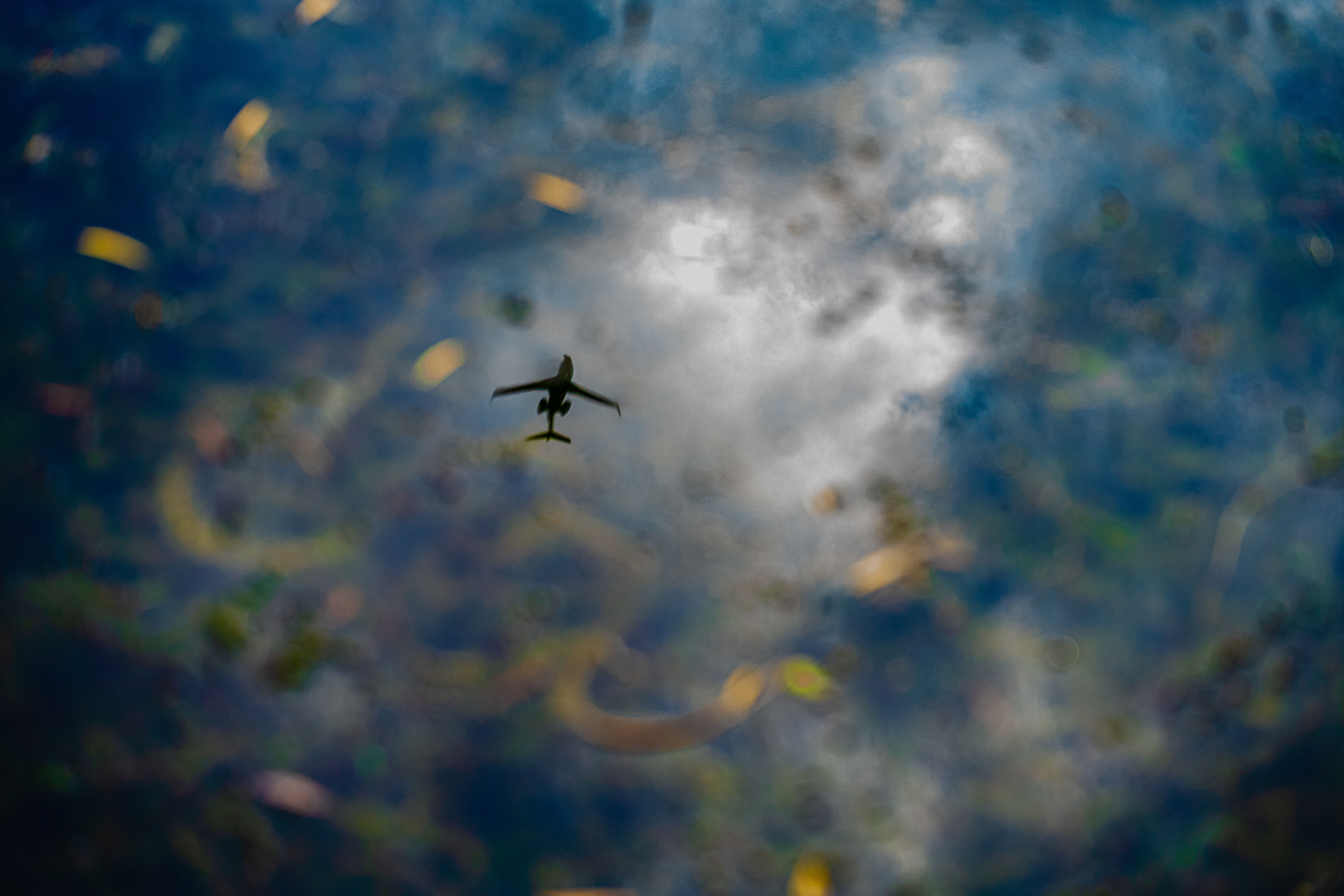 Editor's Pick - LensCulture Art Photography 2024