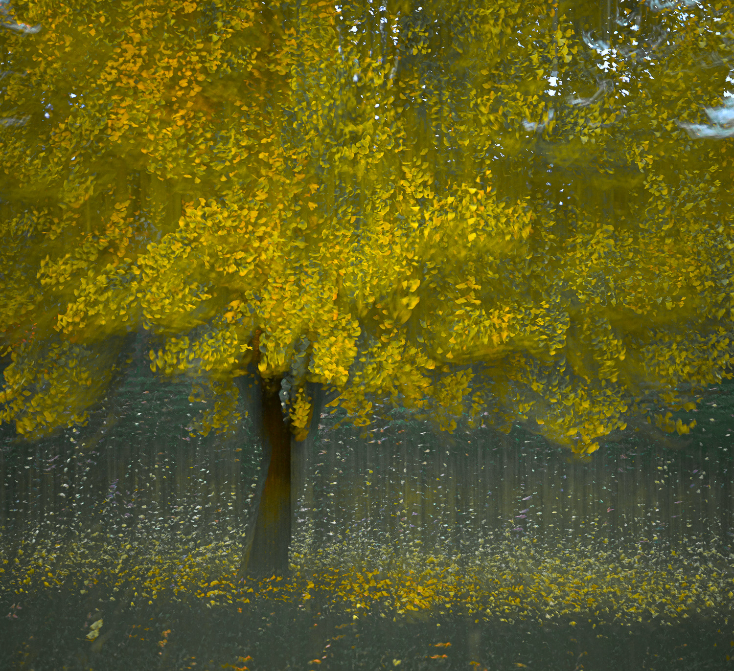 Published, Women's United Art Magazine Issue IX