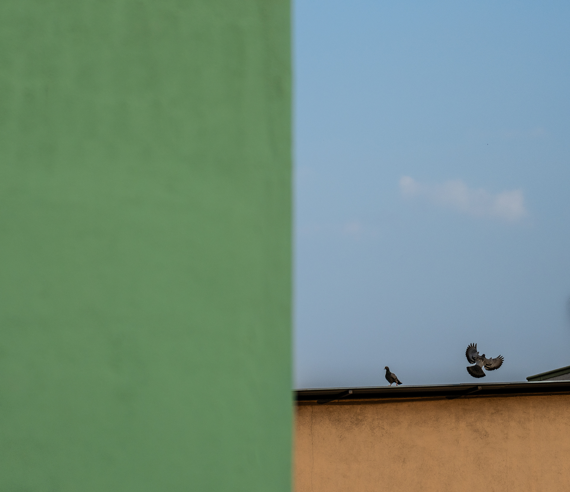 Divided