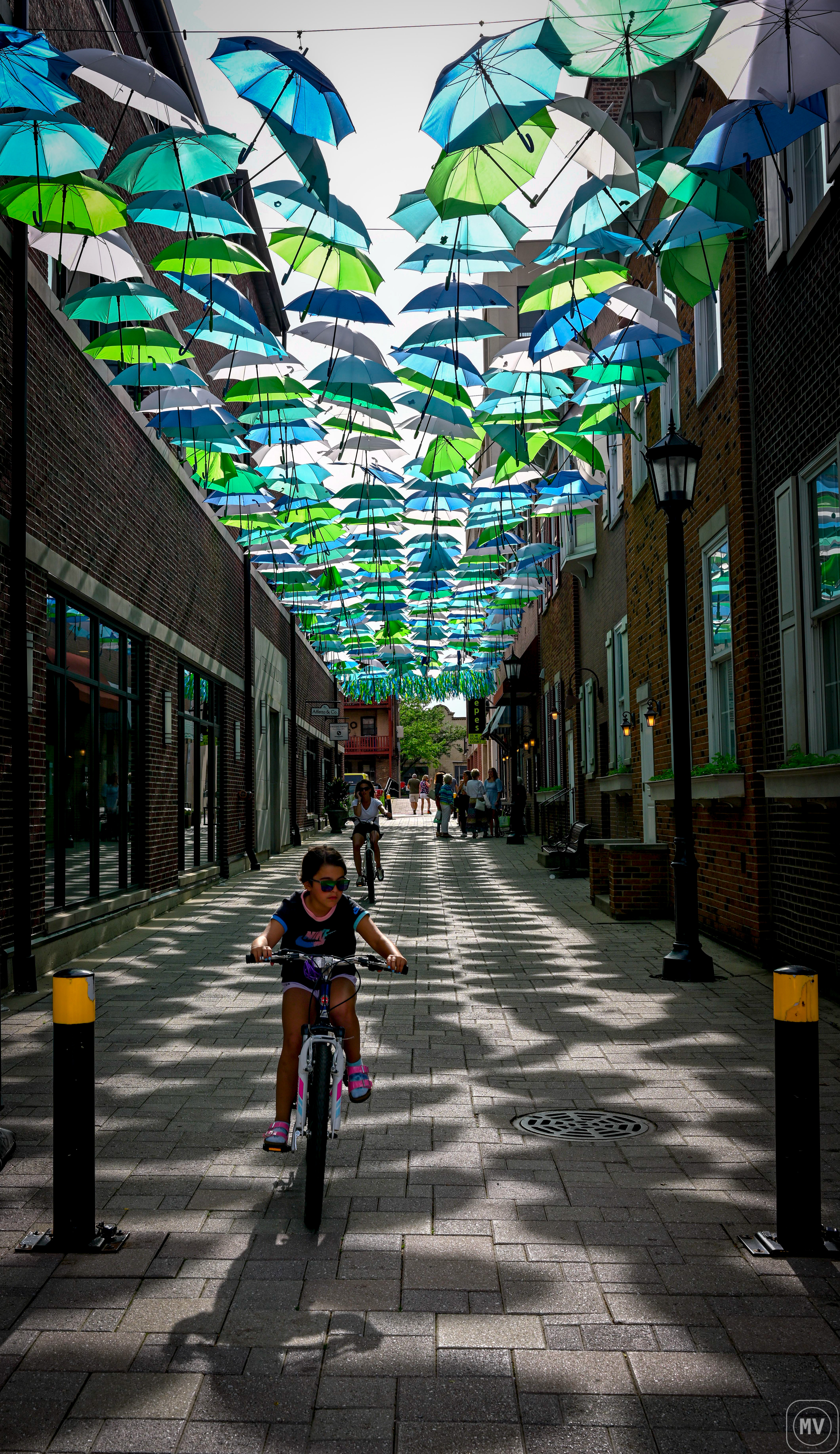 Umbrella Sky