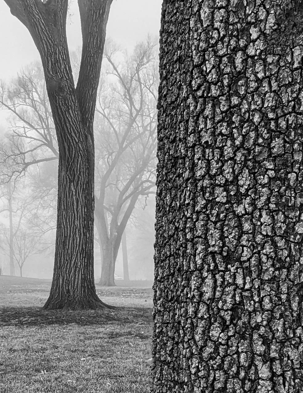 Honorable Mention - International Photography Awards 2023