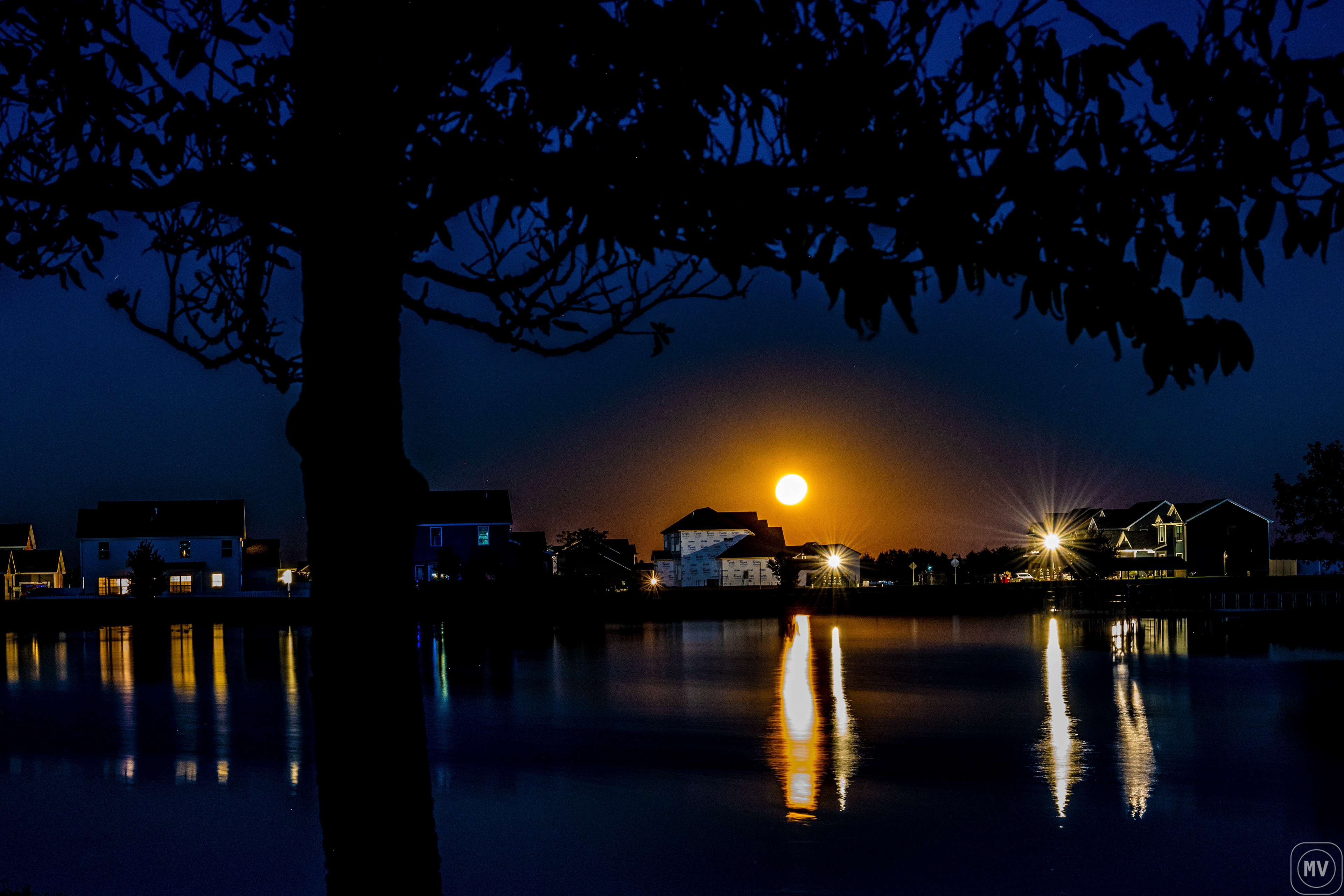 Harvest moon rising