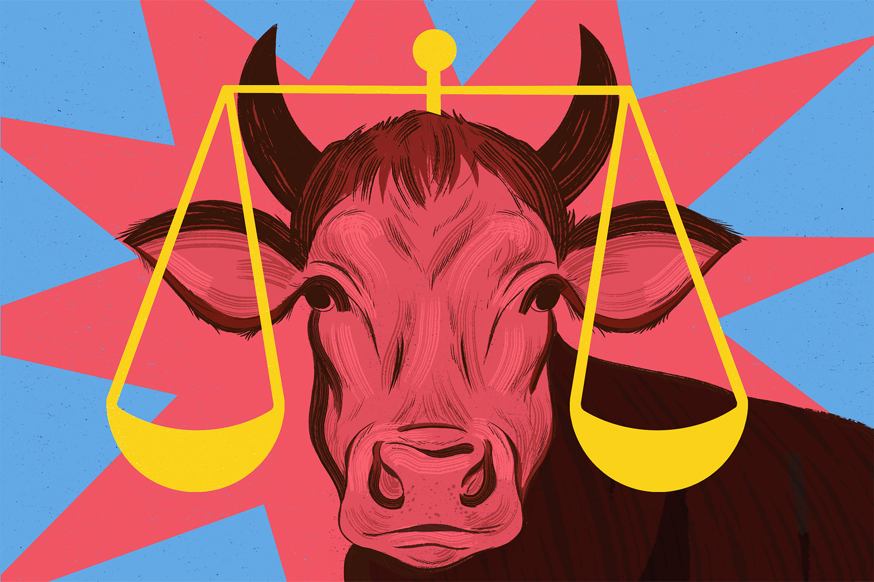 Maia Faddoul for The Beef on Kosher Beef