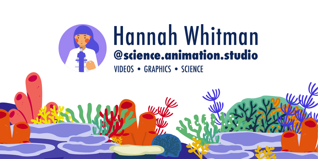 Science Animation Studio | Scientific graphics and animation services