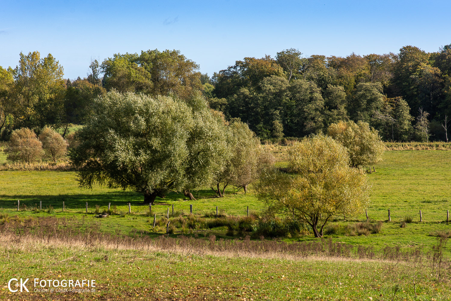 Schwentinetal bei Gut Rastorf