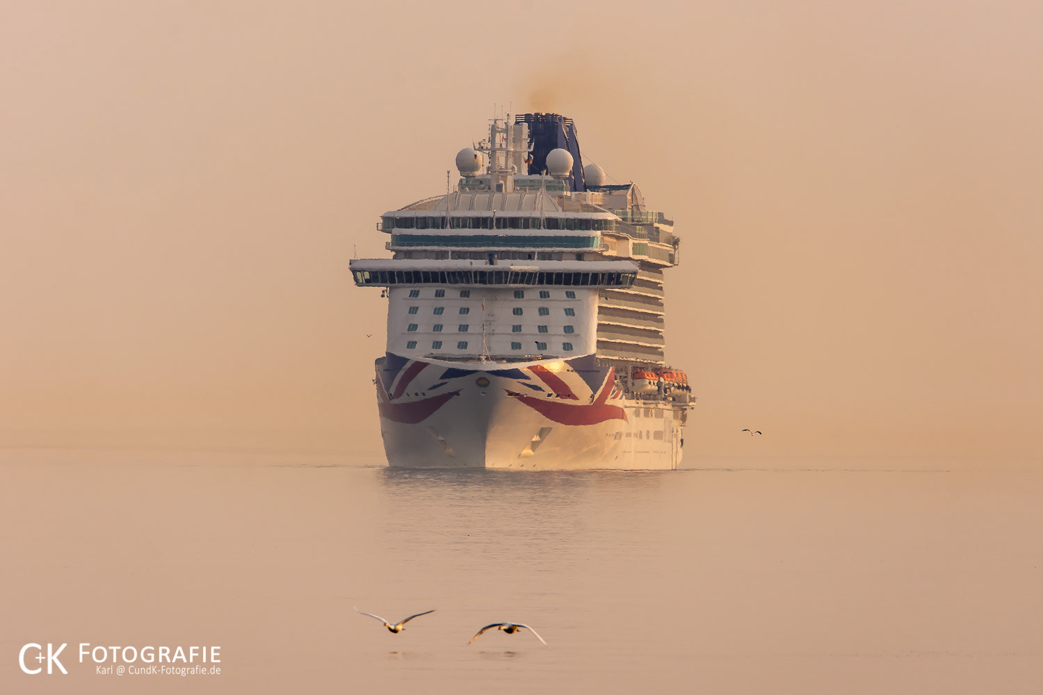 Britannia im Morgenlicht vor Kiel mit fliegenden Schwänen
