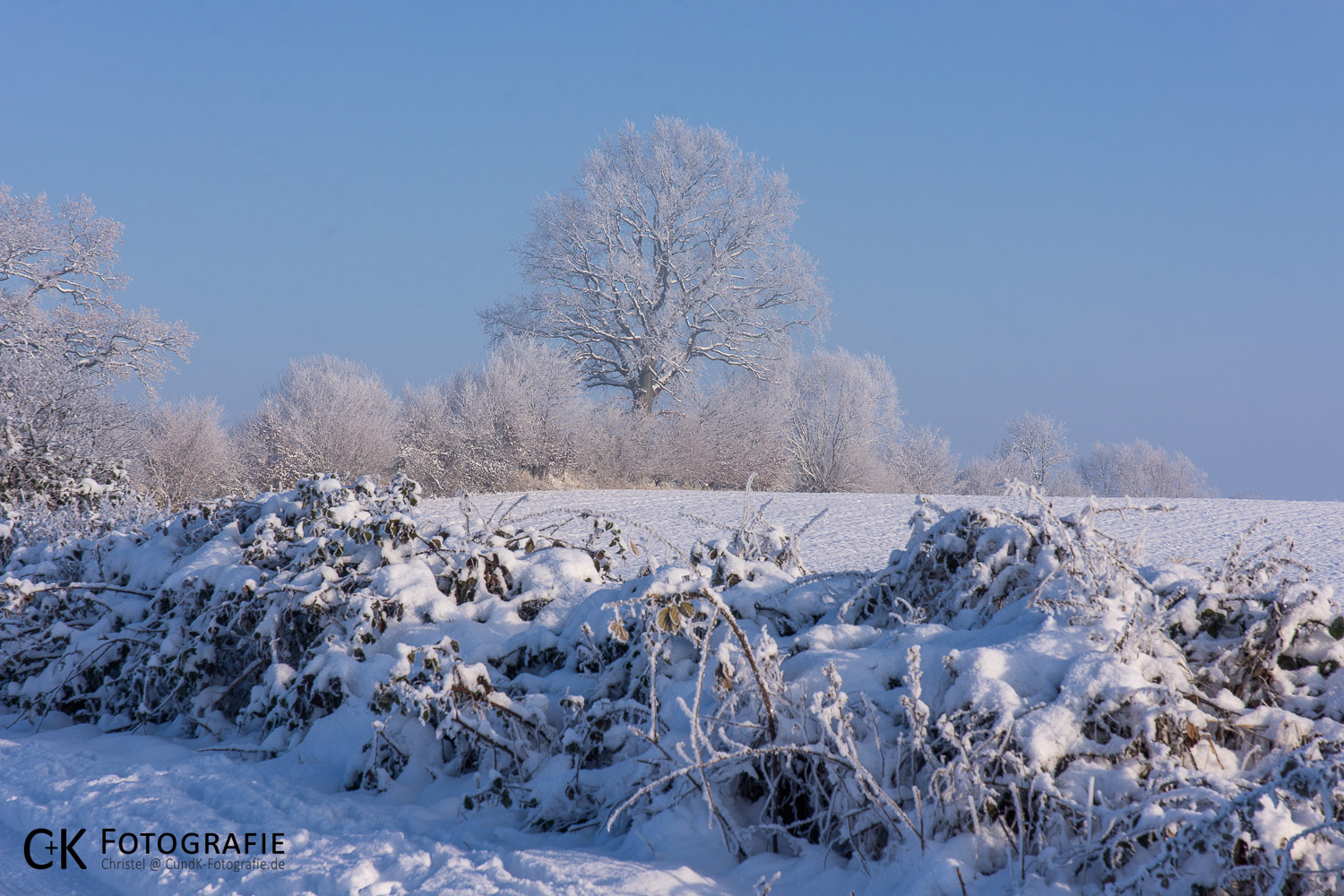 Knick im Winter