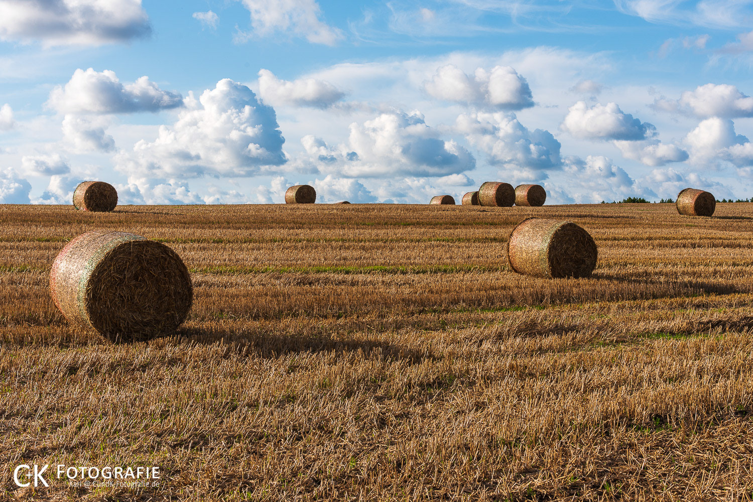 Strohballen auf abgeerntetem Feld