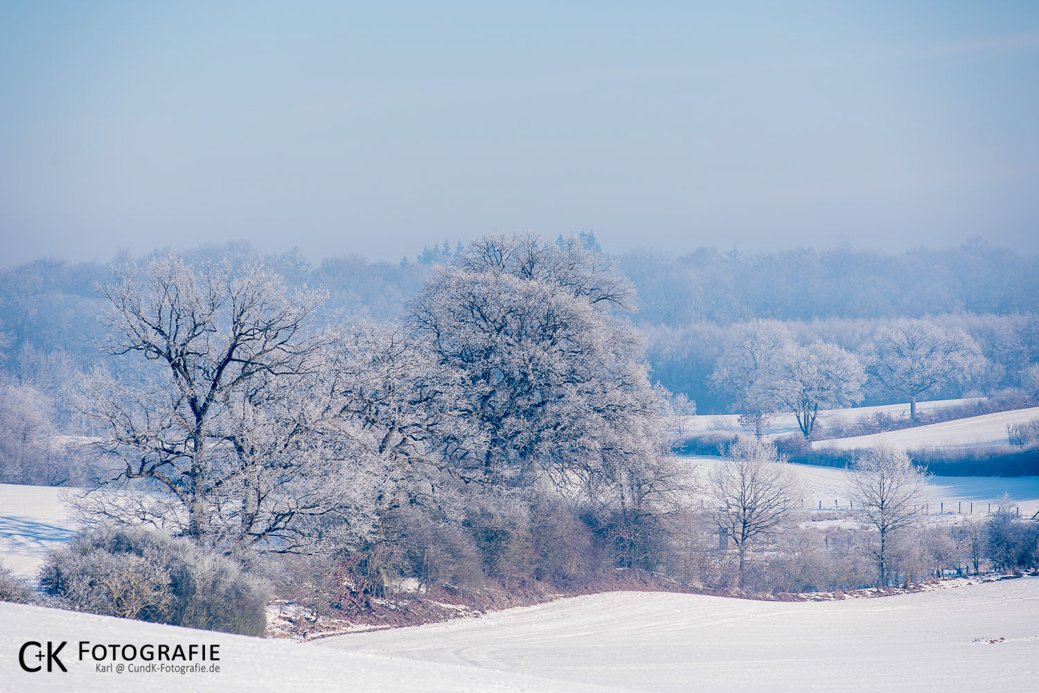 Winterliche Knicklandschaft