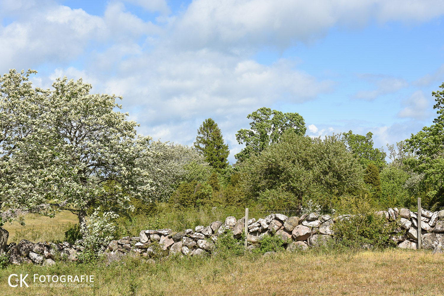 Landschaft bei Algotsrum