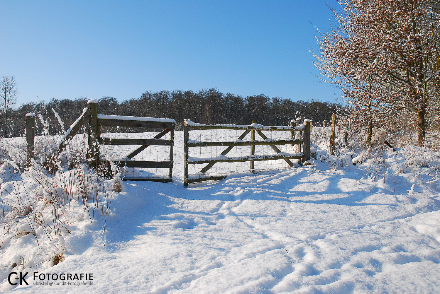 Gatter einer Weide im Schnee