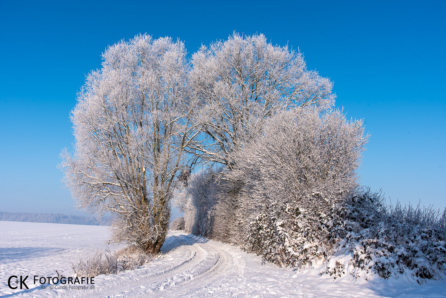 Feldweg im Winter