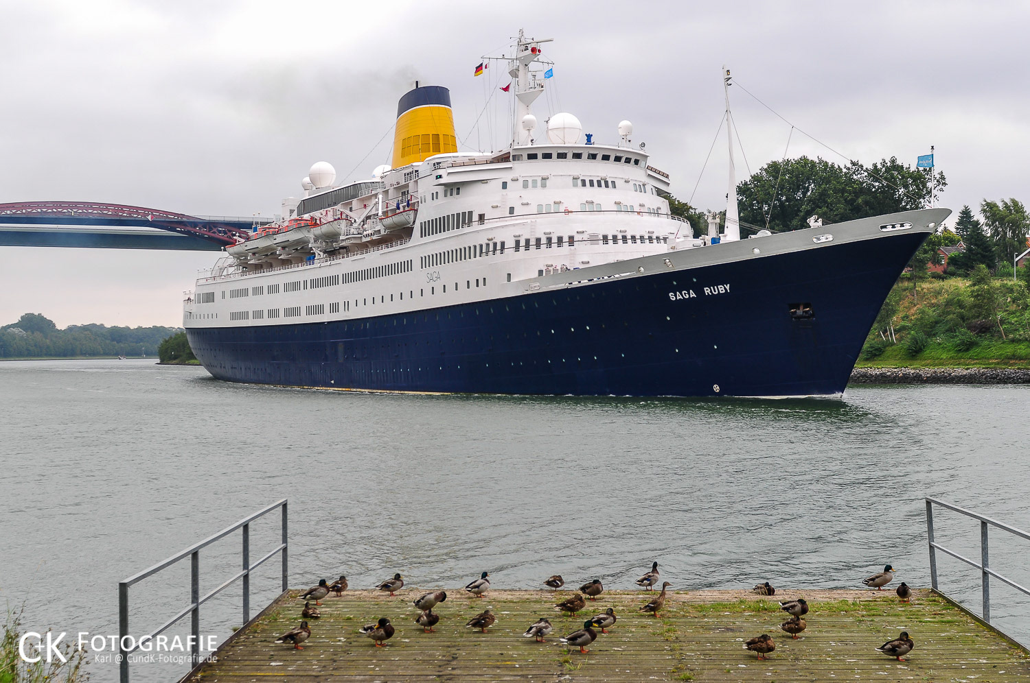 Kreuzfahrtschiff Saga Ruby passiert wartende Stockenten