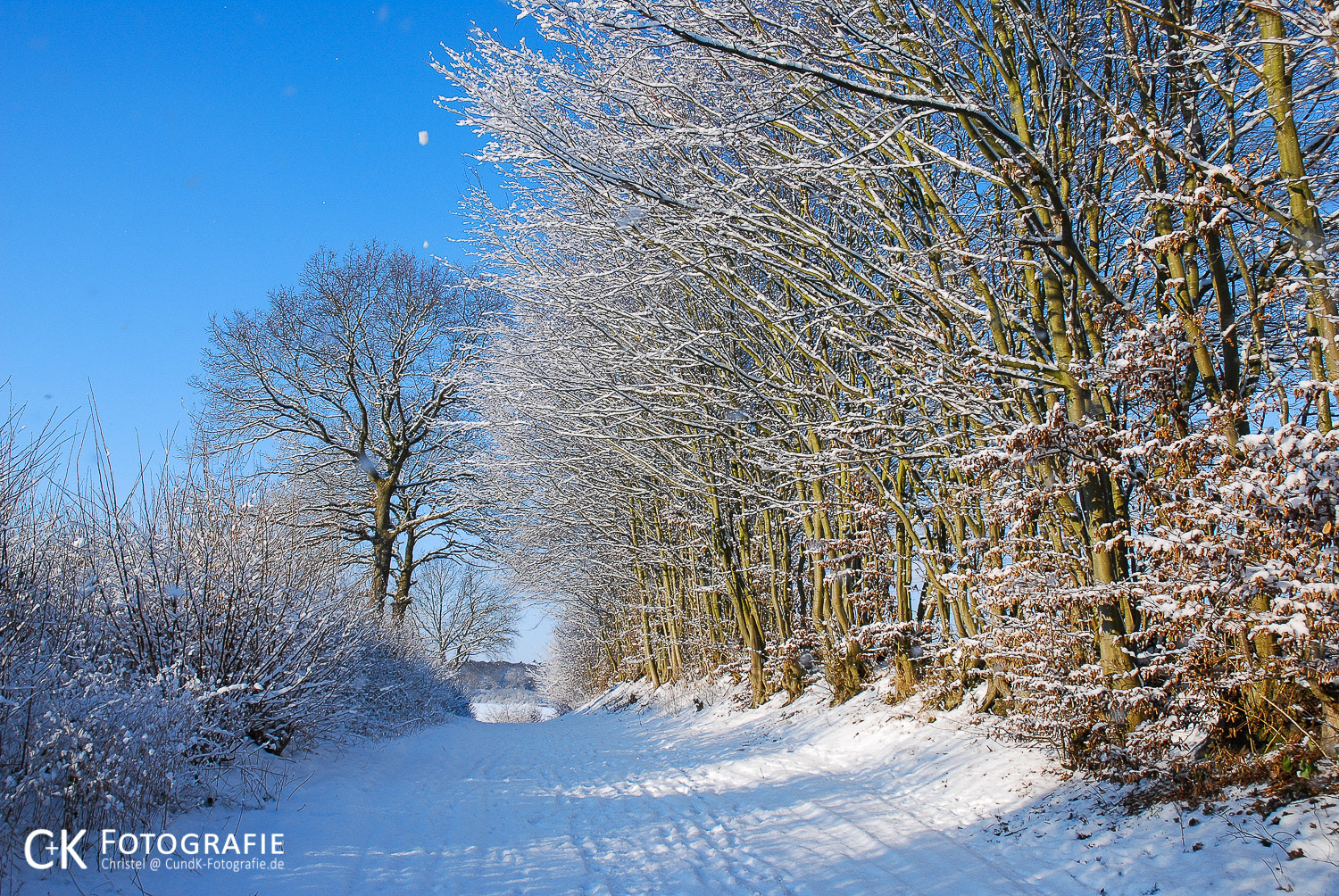 Ein Feldweg im Winter bei Sonnenschein