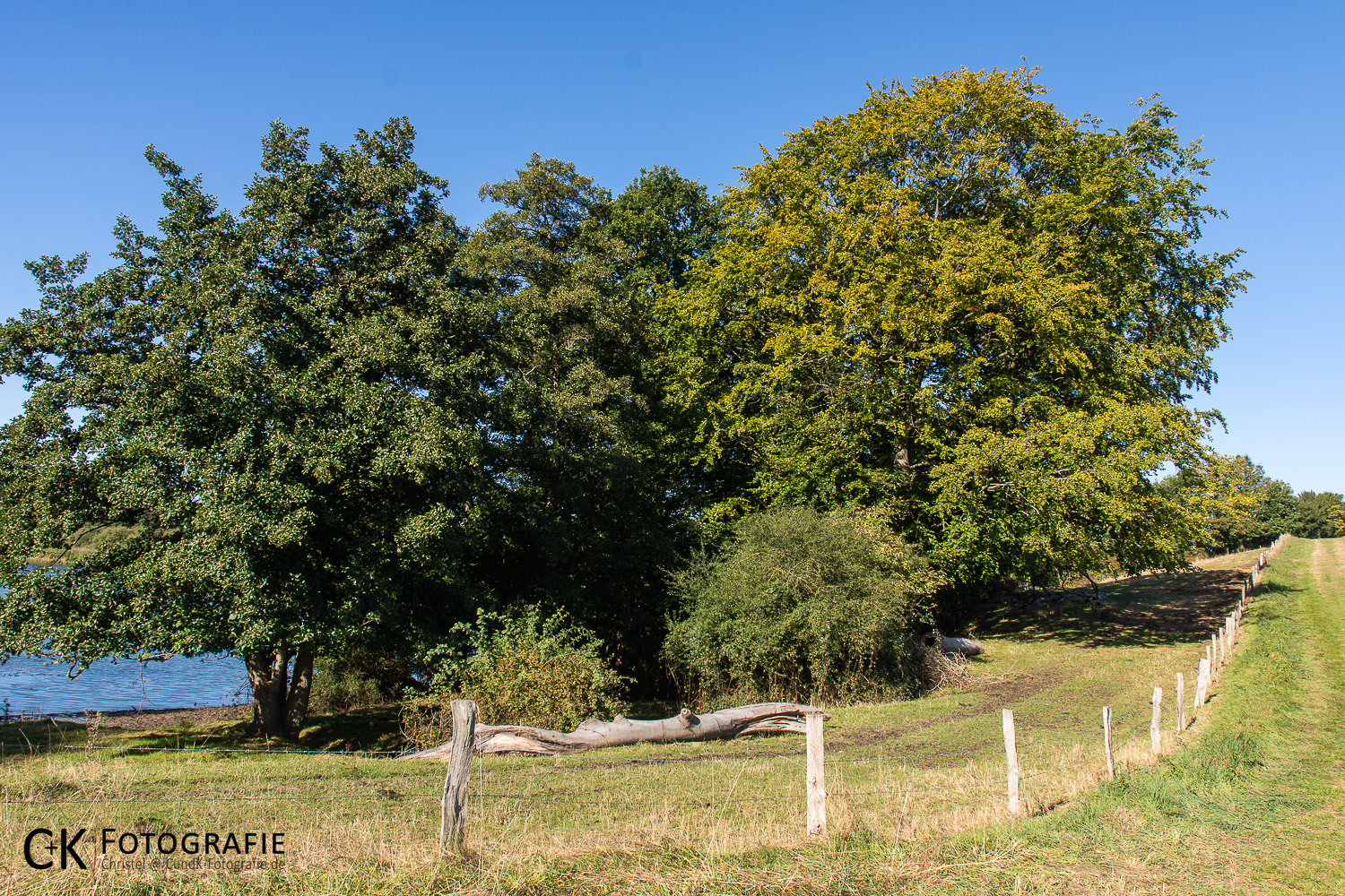 Buchen am Fuhlensee