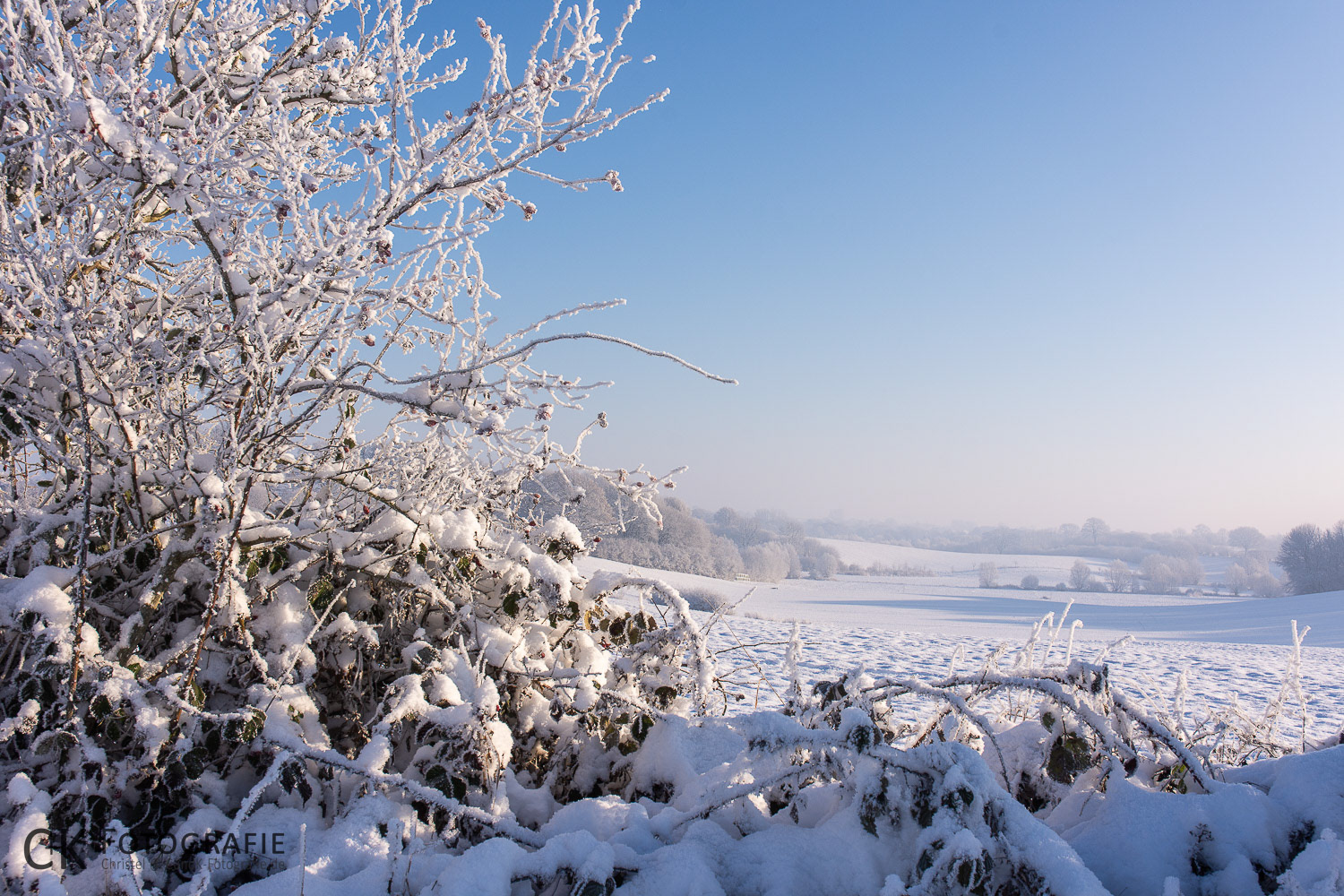 Winterliche Feldlandschaft