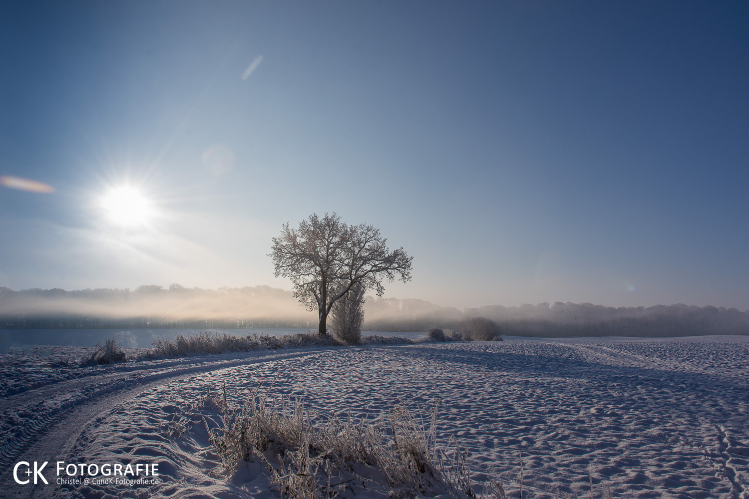 Winterliche Feldlandschaft