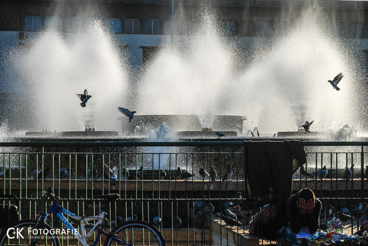 Tauben an einem Brunnen in Casablanca