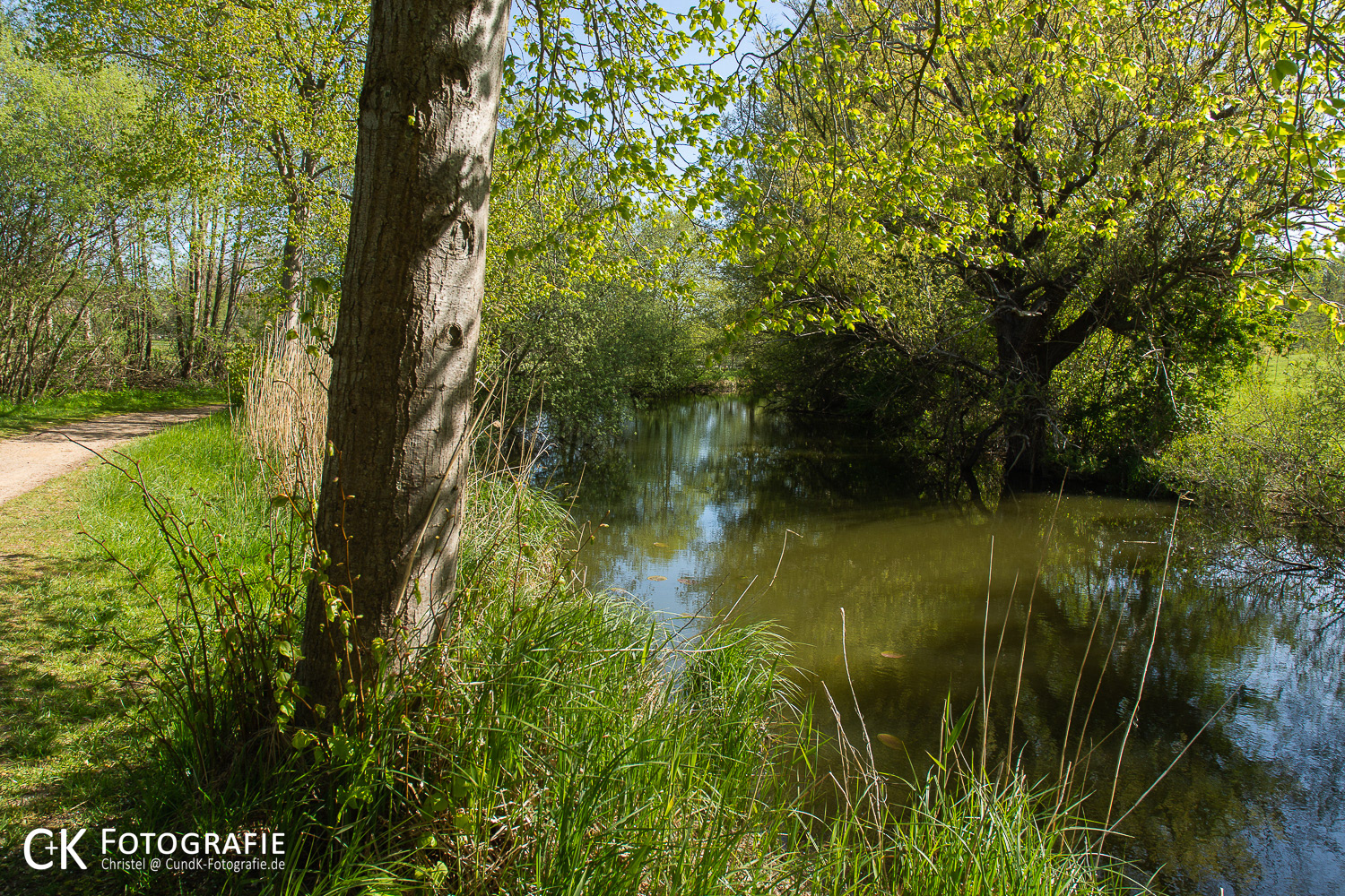 Schwentine in Fissau