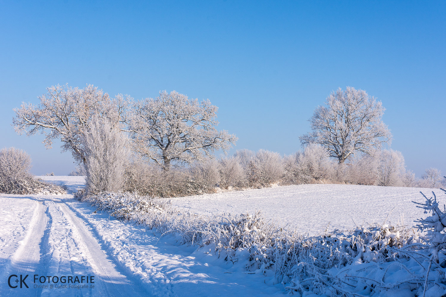 Winterlicher Feldweg