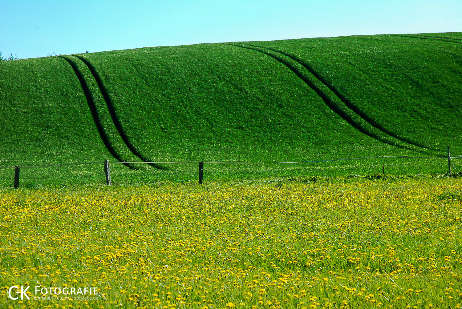 Spuren im Kornfeld