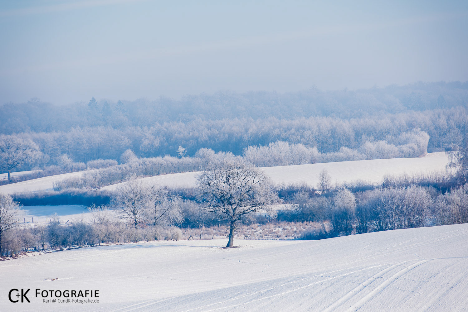 Winterliche Feldlandschaft