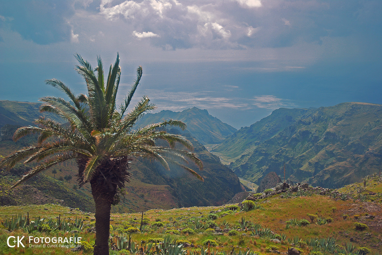 Palme und Berge auf La Gomera