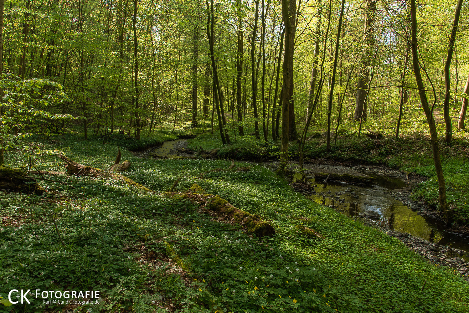 Die Schwentine bei Bergfeld