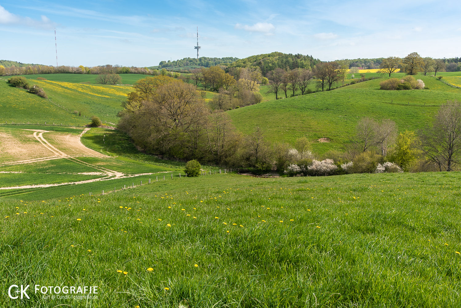 Am Oberlauf schlängelt sich die Schwentine durch diese hügelige Landschaft.Die tief stehenden Bäume kennzeichnen das Bachbett